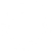 Certified by Austrian Standards